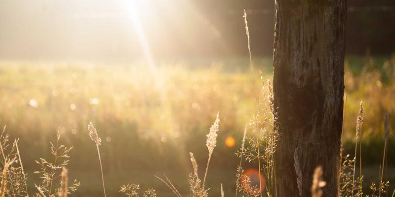 94漫画APP深度评测：海量漫画连载与动漫讨论社区如何重塑移动阅读体验？