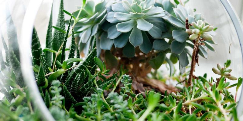 94漫画出海战略深度解析：如何突破文化壁垒，让国产漫画征服海外读者